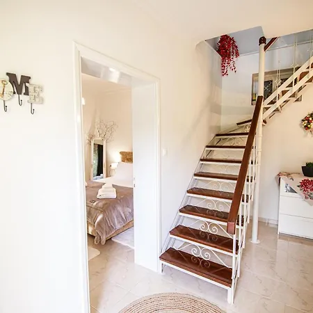 Stefania's Ано-Волос